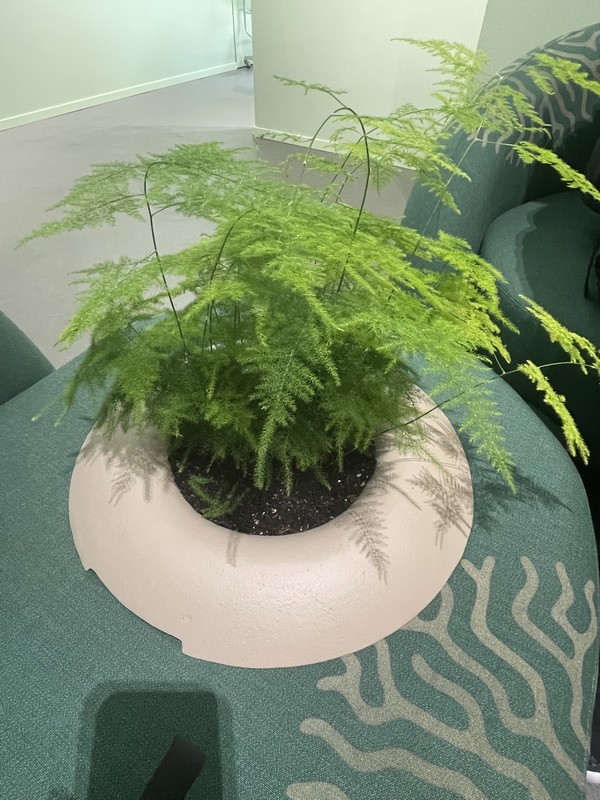 ソファには植物ポットが一体化されている。これは魂と土壌という今回のテーマに基づくもの