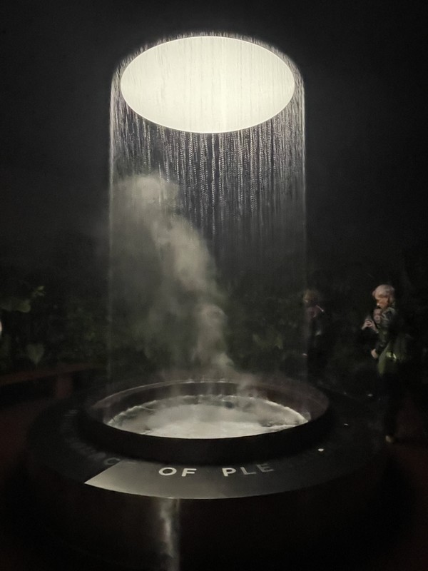 どこか幻想的な雰囲気もあったインスタレーション「Source of Pleasure」