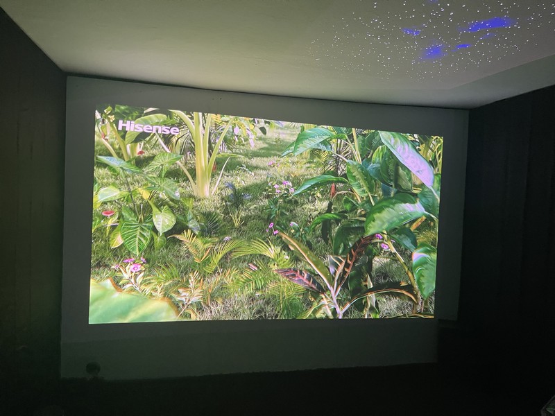 プロジェクターを活用し、天井にも心躍る映像が。ゆったりくつろぐ人の様子が印象的だった