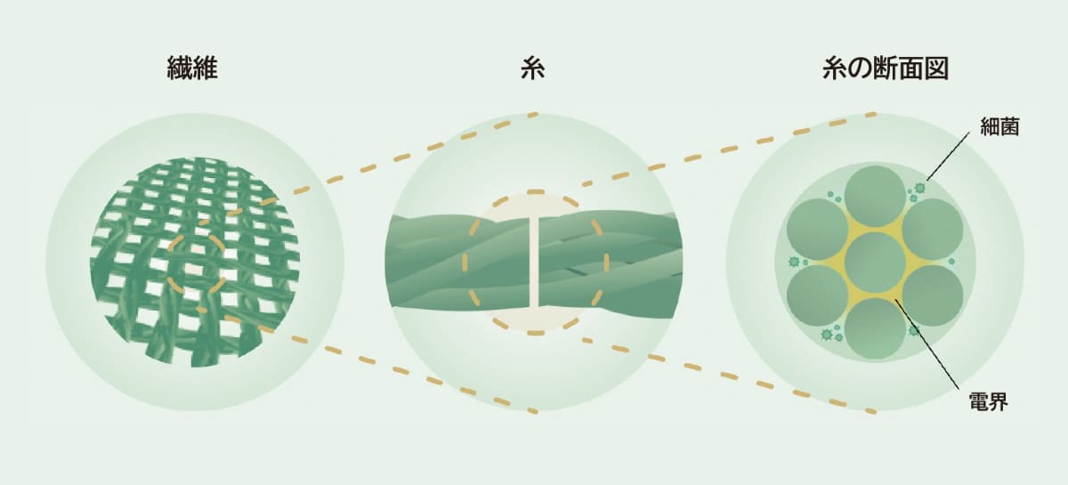 繊維の細部表面に付着し増殖する細菌に、電気(電界)を与えます