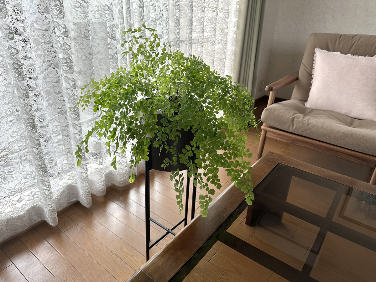 よりリラックスできる部屋作りのポイントをご紹介します