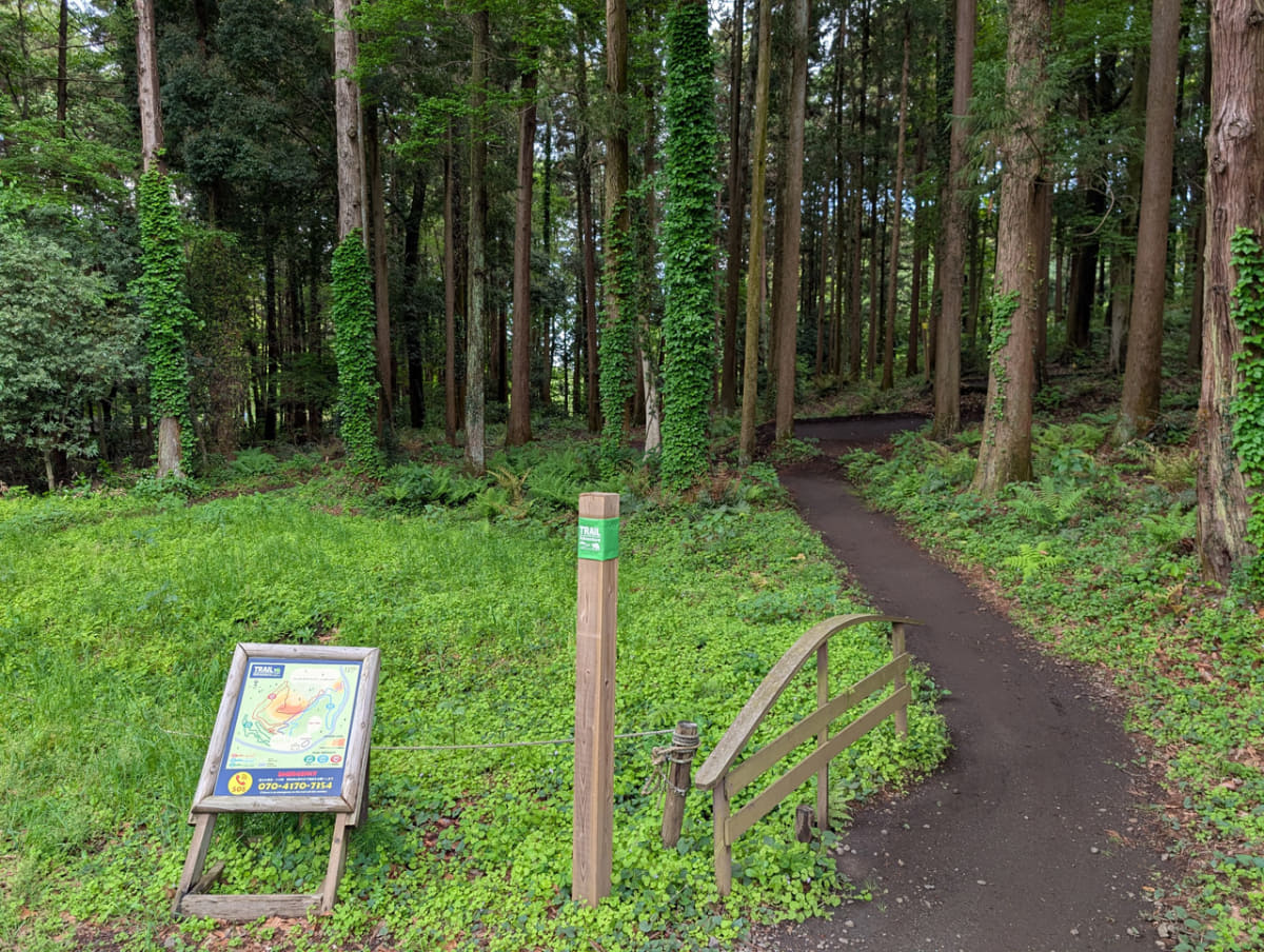 グリーンのコース入口