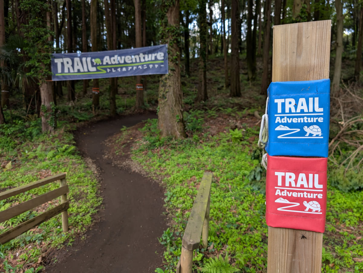 ブルーとレッドのコース入口