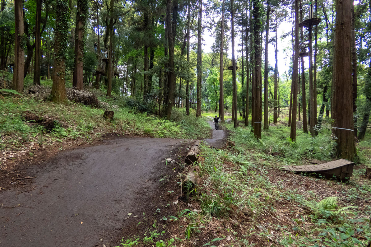 ジャンプポイントもたくさん!