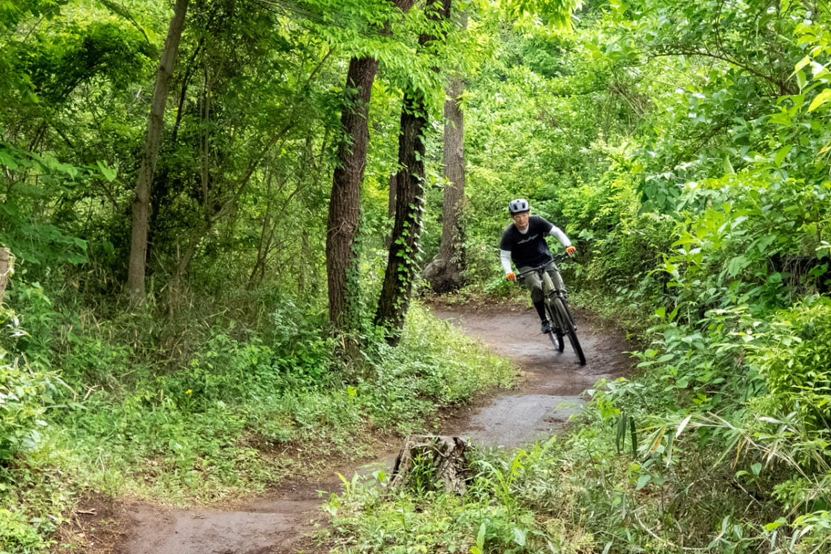 e-MTBならおいしいところを重点的に味わえる