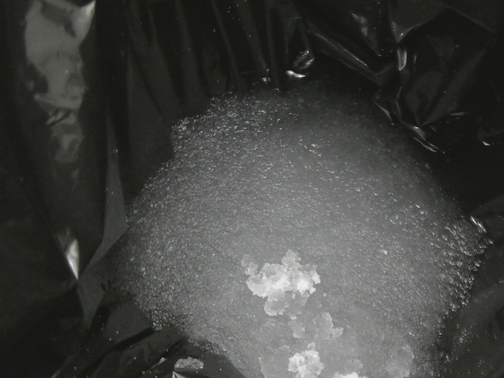 時間の経過とともに、結晶化がどんどん進んだ