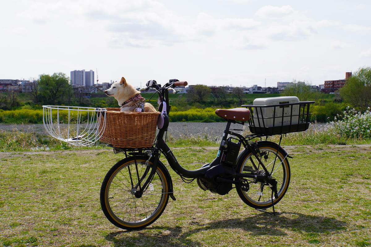 前回イベント時の車体の例