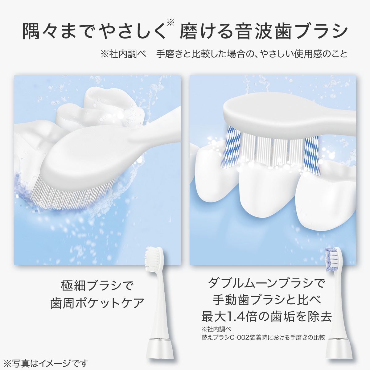 2種類のブラシが付属する