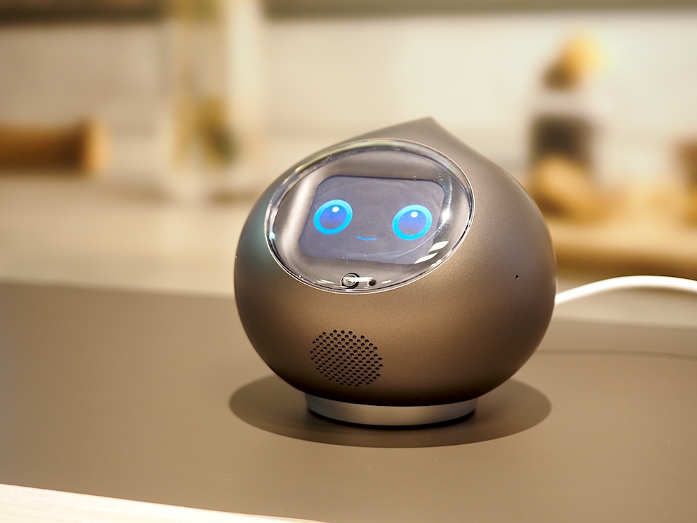 カメラを使った視覚機能を搭載し、言葉のやり取りだけではなく、写真やペットボトルなどを見せながら会話できる