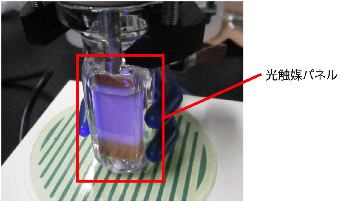 実験の様子