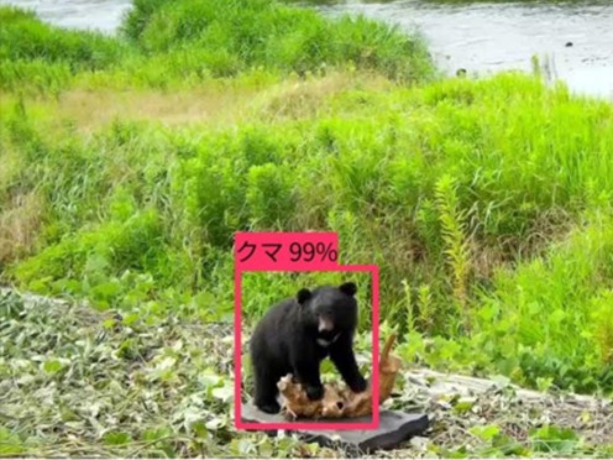 AIカメラによる検出画像