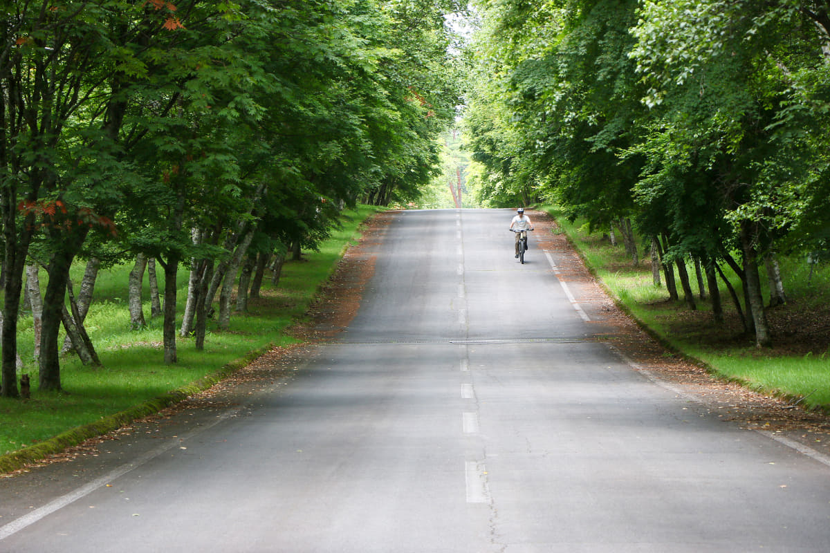 舗装路を走って行くと、気持ちの良い道を発見。両側は全部もみじなので紅葉の時期にまた来たい!