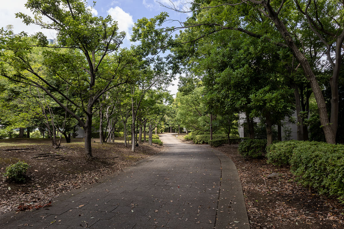 青海や有明は植樹も多いので、暑い日でも日陰のあるところを走れる。休憩する場所もとても多い