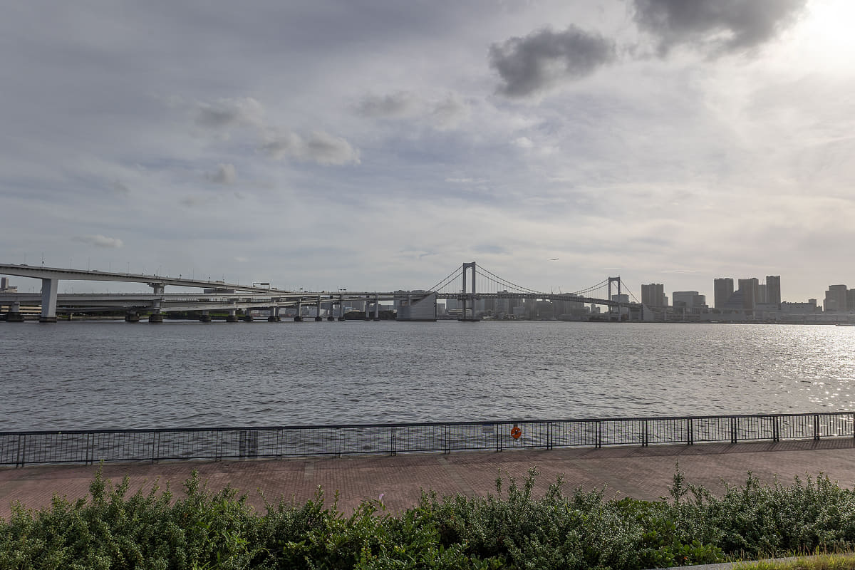 豊洲の公園からレインボーブリッジを見る。のんびり走っているので夕方になってきた