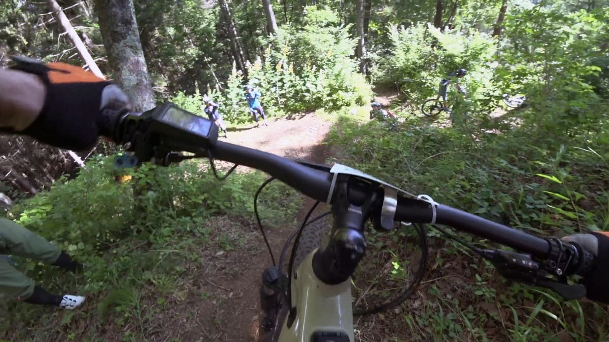 上から下をのぞき込んだところ。特に手前の木の根のところが滑りそうで怖く、筆者は回り道で回避しました……