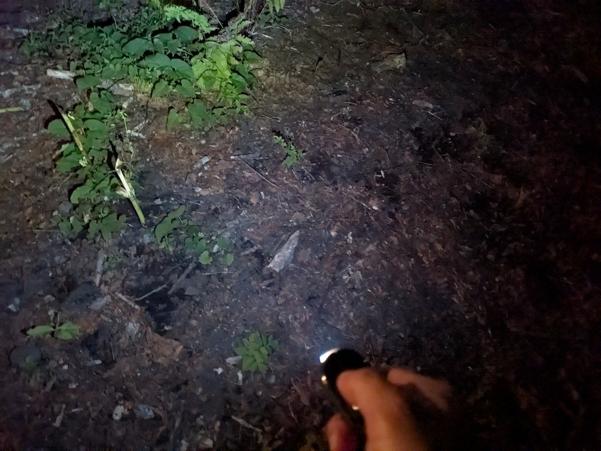 2段階で明るさを切り替えられる懐中電灯としても役立つ