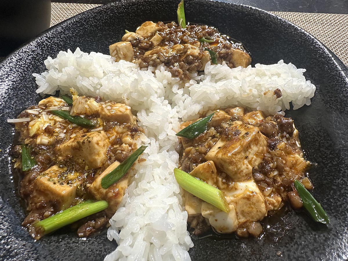 左側が録食に従って筆者が作ったもの