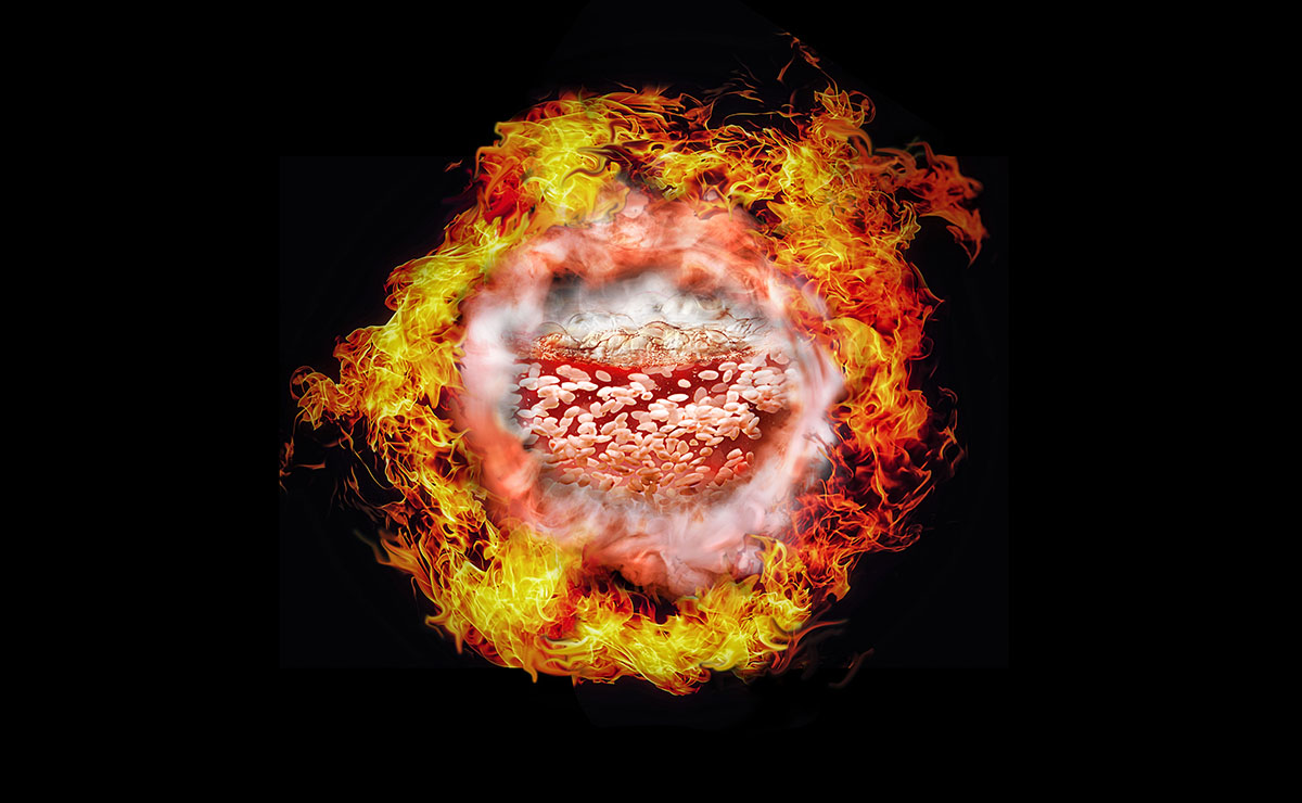 「圧騰甘み炊き」イメージ