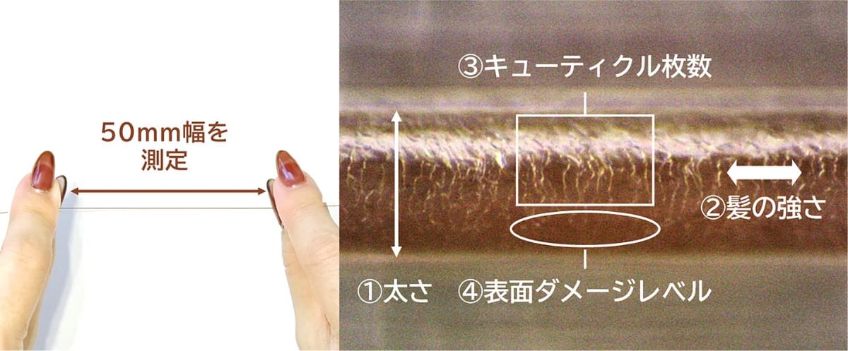 キューティクル枚数や表面ダメージレベル、髪の太さや引張強度を自動測定して総合評価を表示できる