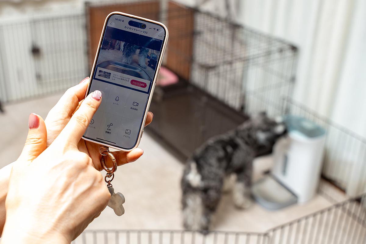 アプリで撮影された室内の様子。フードボウル内がしっかり写るため、ごはんを最後まで食べたかもわかります