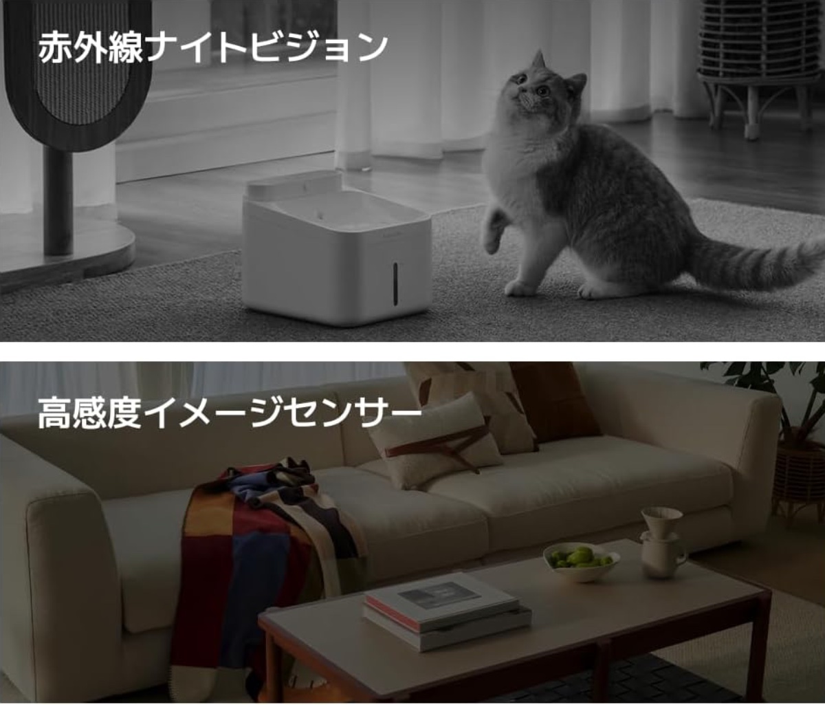 暗い場所でも鮮明に映し出す