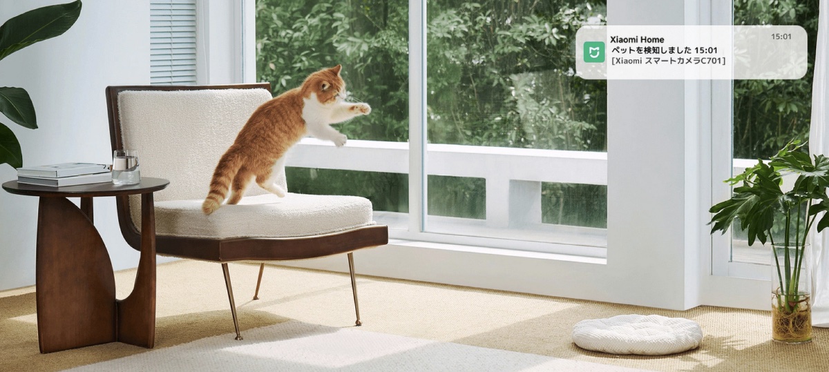 遊ぶペットをしっかり撮影