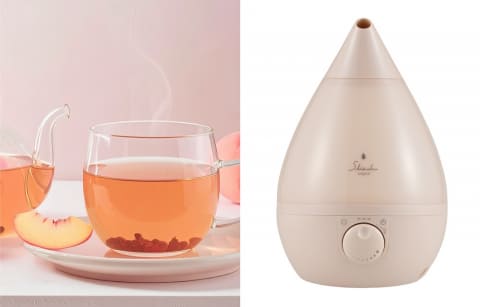 プチパンプキン加湿器 51rON+qBUiL._AC_UL210_SR210,