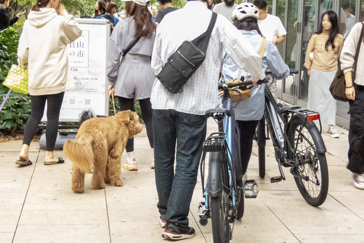 お目当てはパナソニックのクロスバイクe-bikeのようでした。真っ先にXEALT S5へ