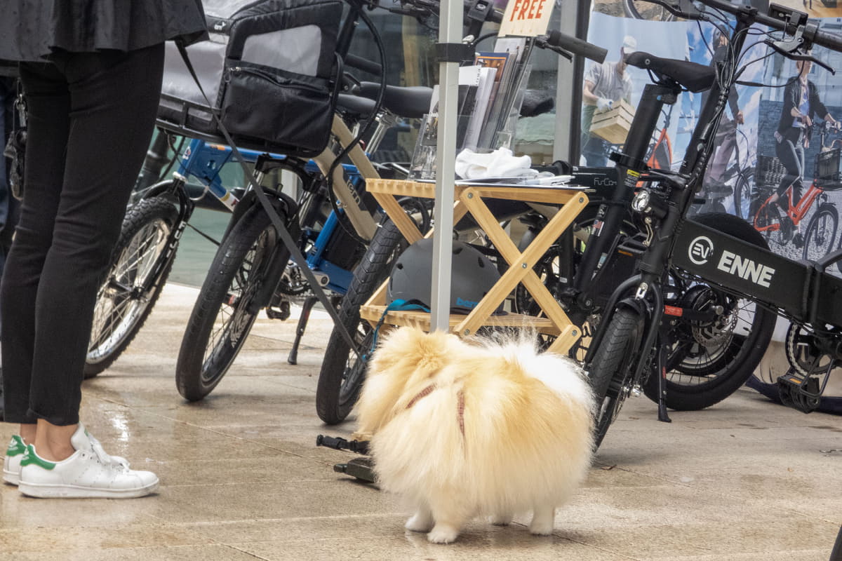 愛犬家の多い代官山ではペット仕様のターンのミニベロやカーゴバイクに注目する人が多い印象でした