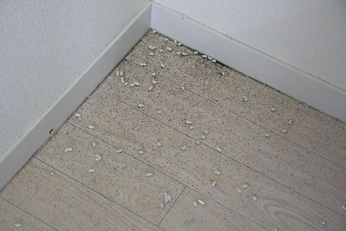 砂とペット用トイレ砂を置いておきました