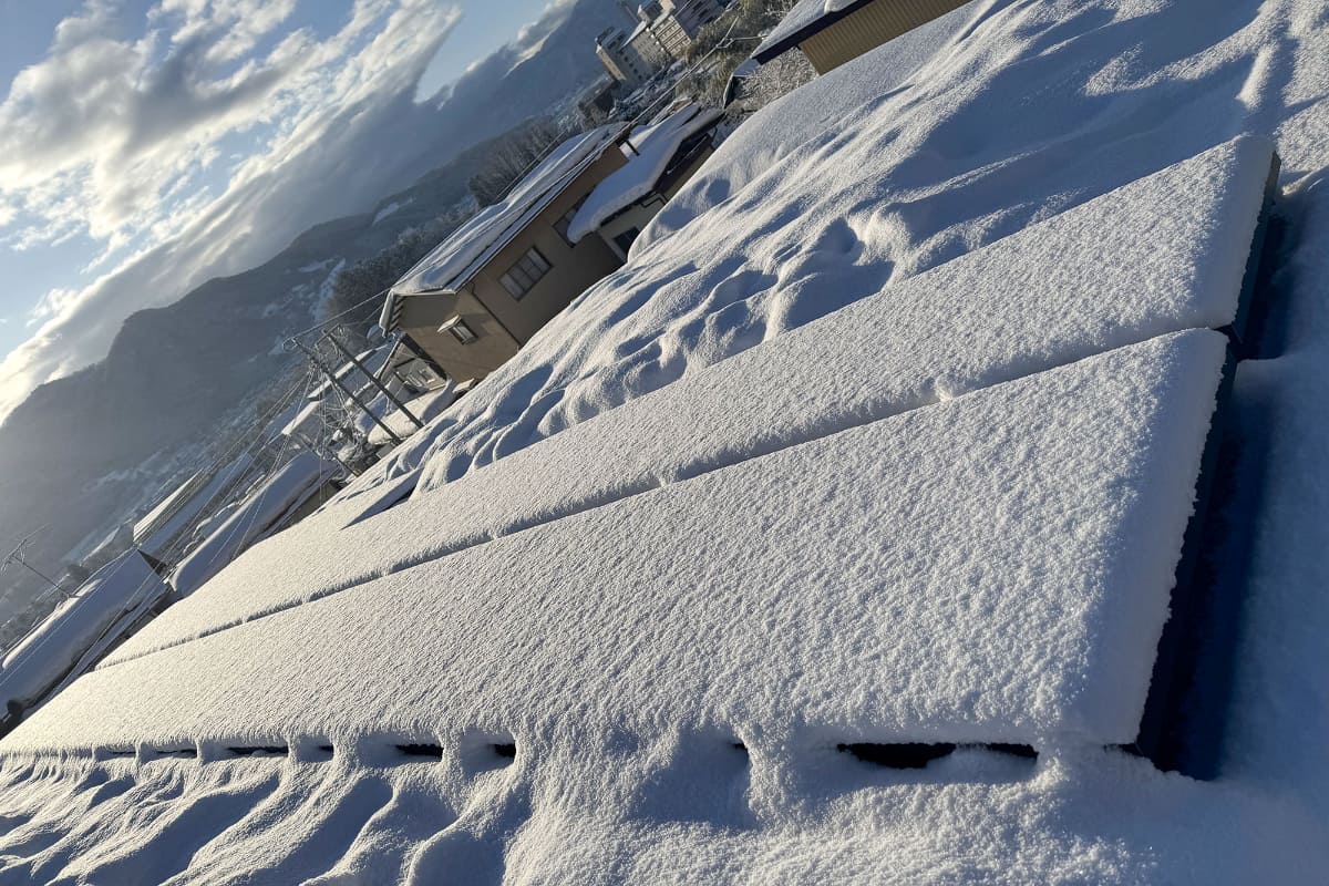 昨年の様子。冬季は雪をかぶってしまうという問題が……。豪雪地帯ではないとはいえ、表面が覆われてしまうと発電できない