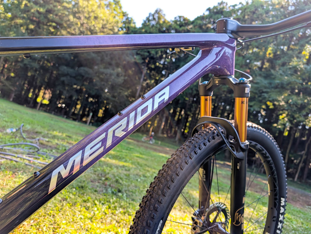 塗装の美しいカーボンフレーム