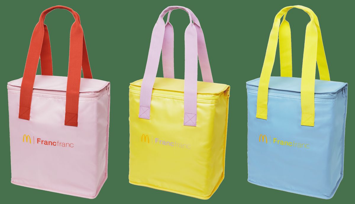 「ビッグな保温・保冷バッグ」全3色のうち1つが入っている