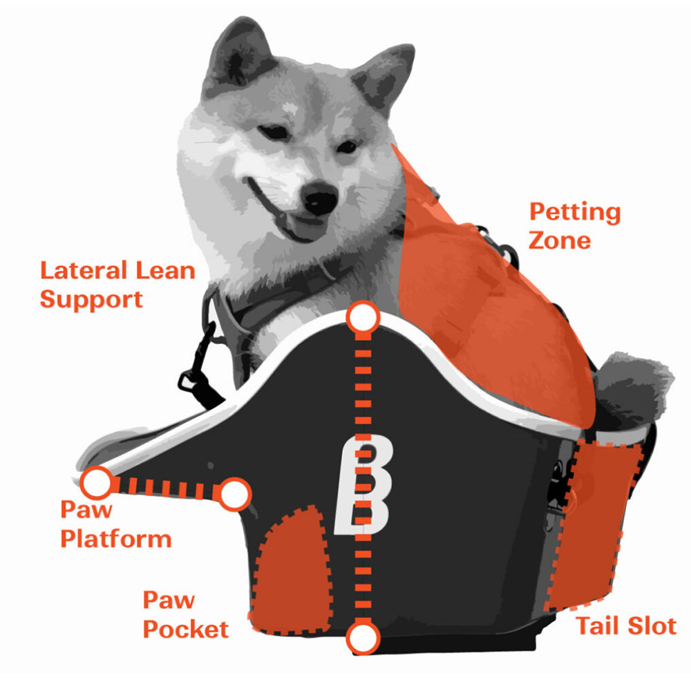 4本足で体重を支え、しっぽが伸び、座るときは前傾姿勢に。犬の独特な形状と姿勢に合わせて設計されている