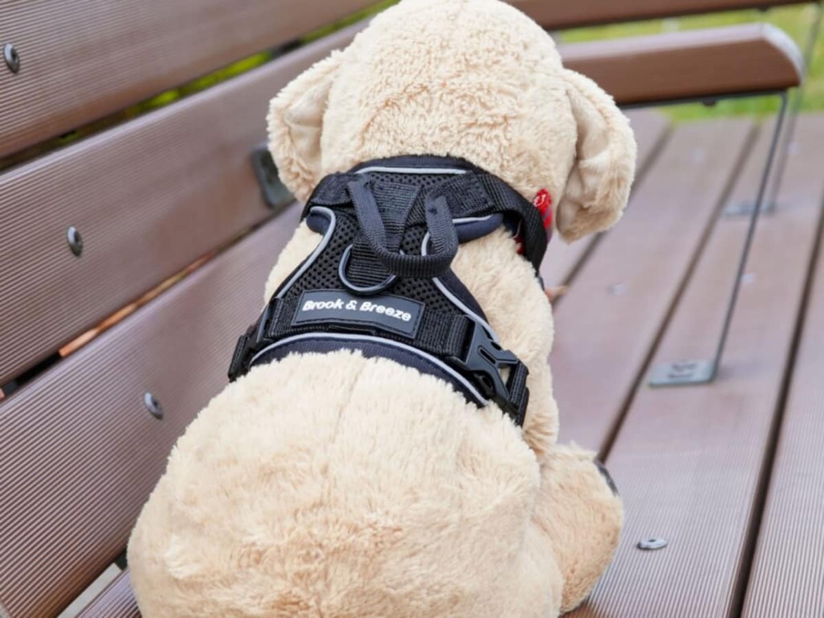 ハーネス装着イメージ