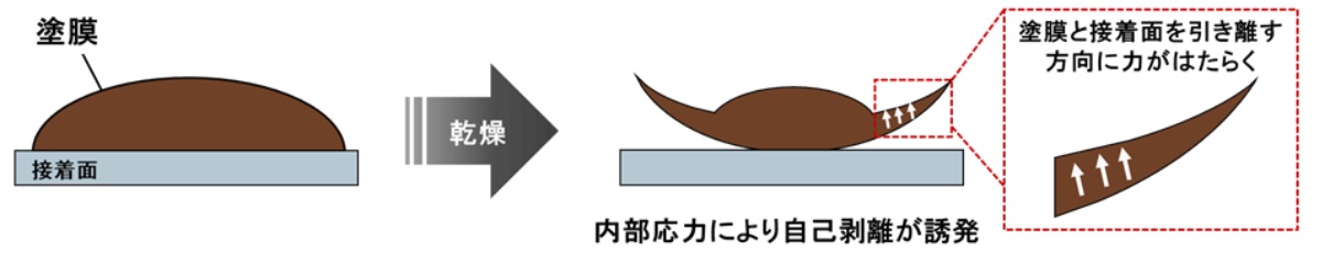 内部応力によって塗膜が剥がれるイメージ