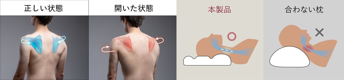 首の理想的なカーブを実現し、肩甲骨を安定した位置に導く