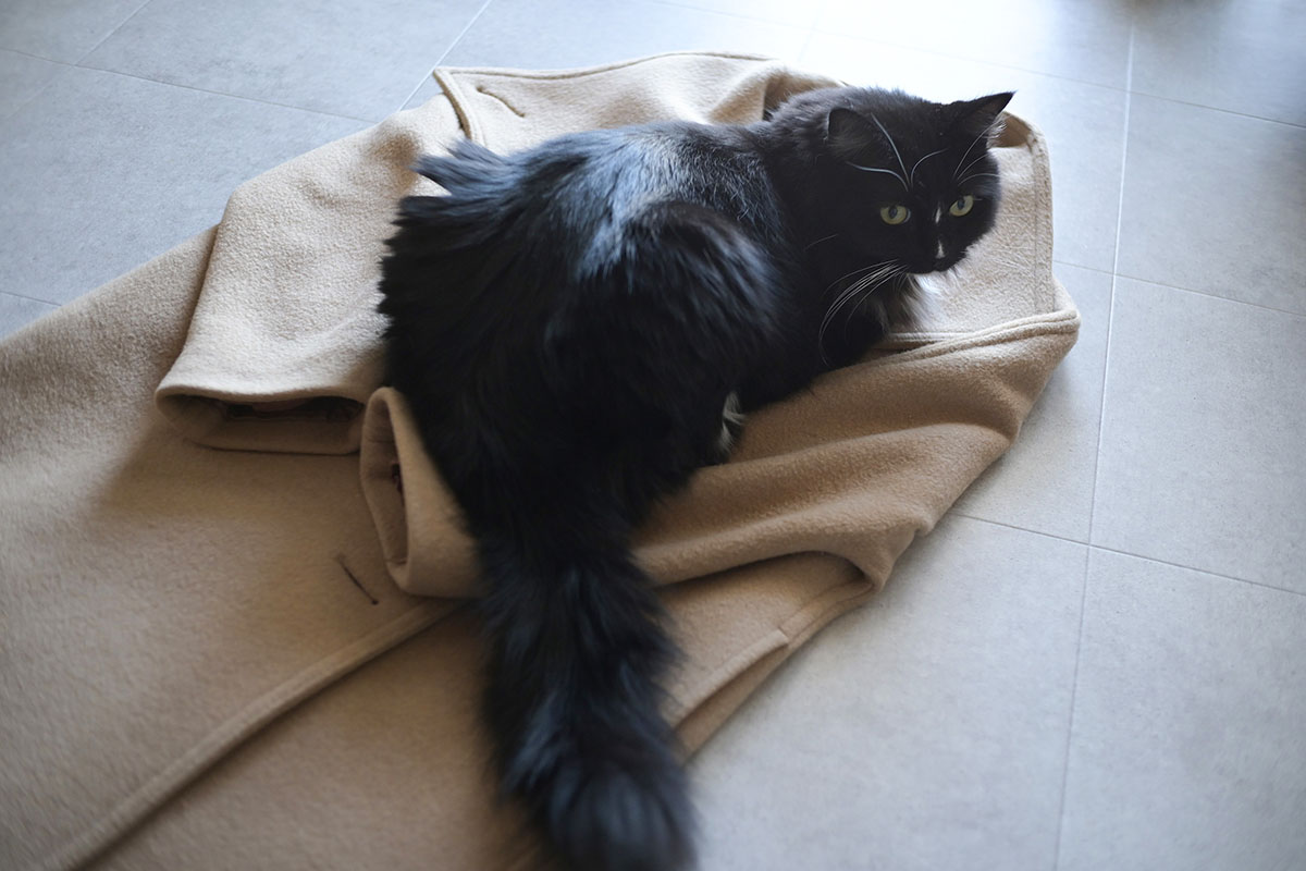 猫はキレイ好きなのでね、こうなります