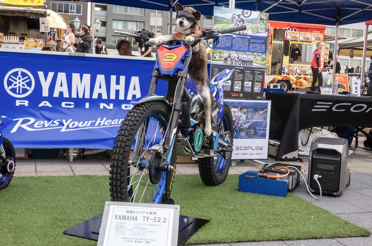 犬とバイクとポータブル電源!? とあるイベントのワンシーンです