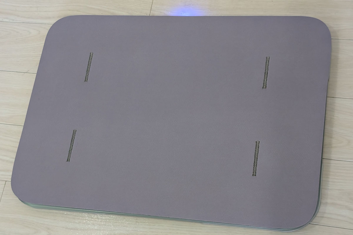 issin「Smart Bath Mat(スマートバスマット) 体組成計モデル」。価格は19,800円