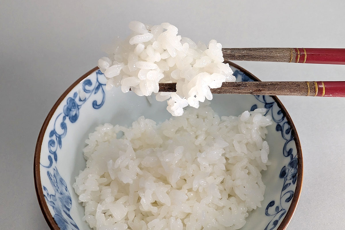 電気圧力鍋のなかでも最大1.8気圧という比較的高い圧力で炊くからか、とにかく食感の良さが際立っています