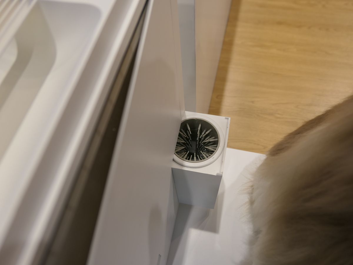 散歩後に足を洗うブラシを備えています