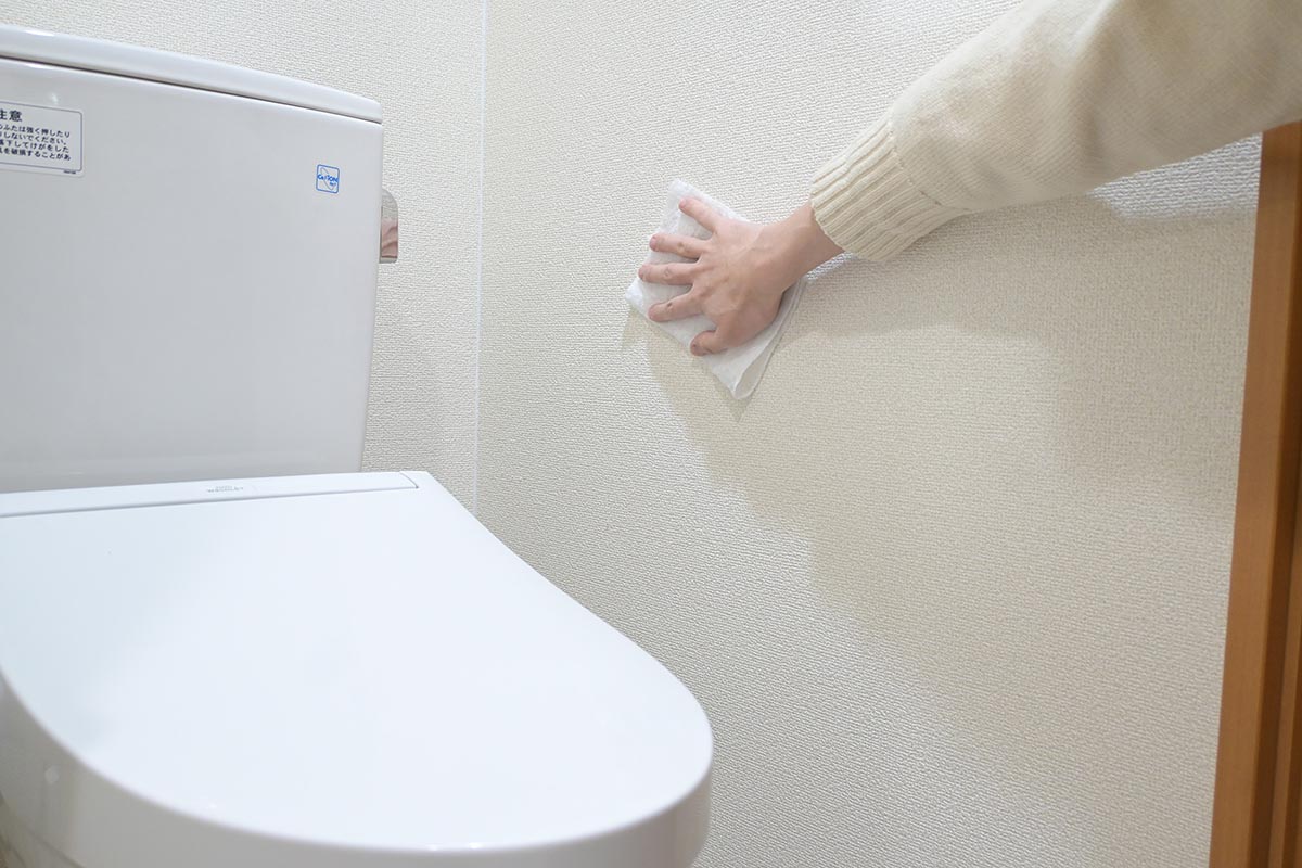 トイレの壁と天井も忘れやすいポイント。大掃除のタイミングでぜひ掃除したい