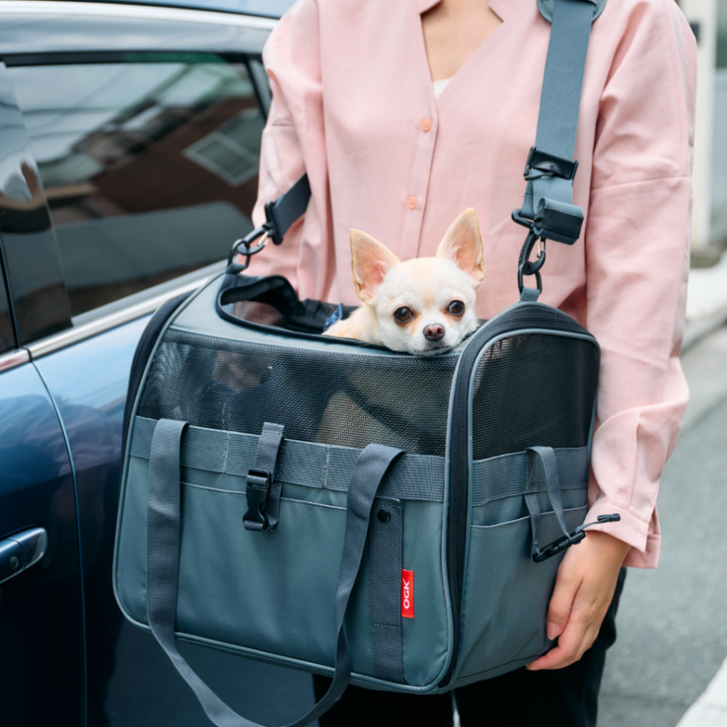 写真はSサイズ。超小型～小型犬・猫(目安の体重6kgまで)が対象。価格は15,620円