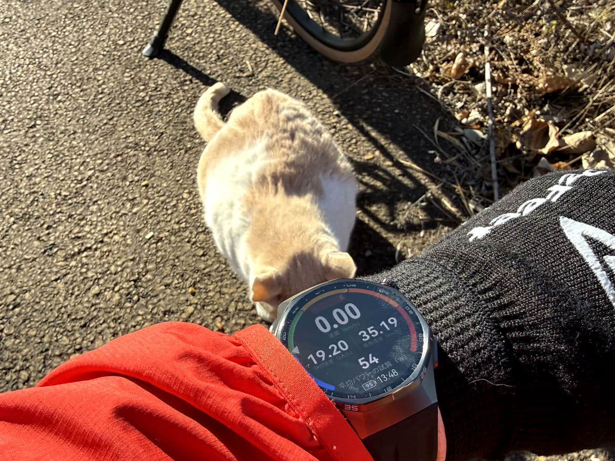 電池がよく持つから表示が暗め? と考えましたが、直射日光下でも表示はクッキリと鮮明に見えます。ちなみにディスプレイは約1.47インチのAMOLEDディスプレイで、最大輝度は約3,000ニト(従来比で約1.5倍に向上)です