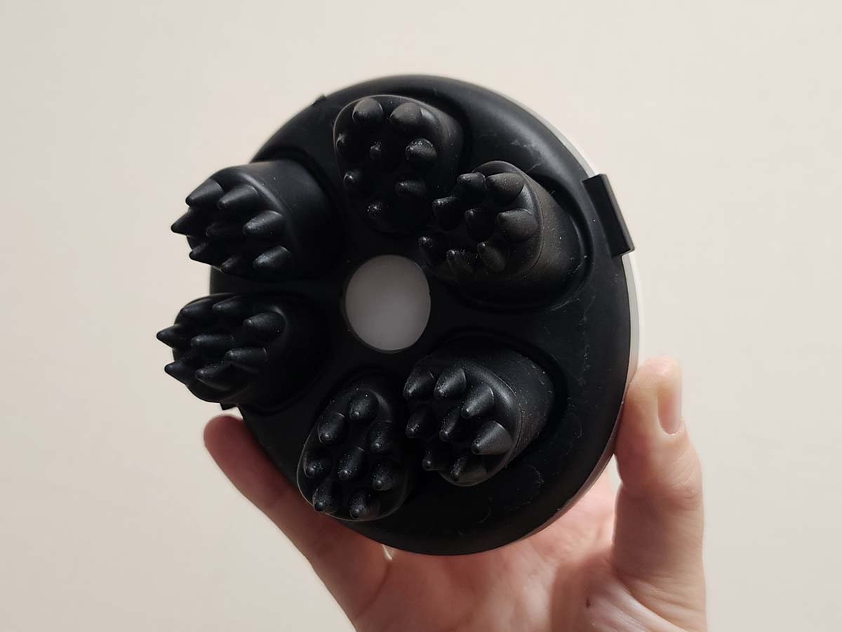 突起の先がさらに針のように分かれていて、痛そうだと思ったらむしろ繊細な動きを実現していました