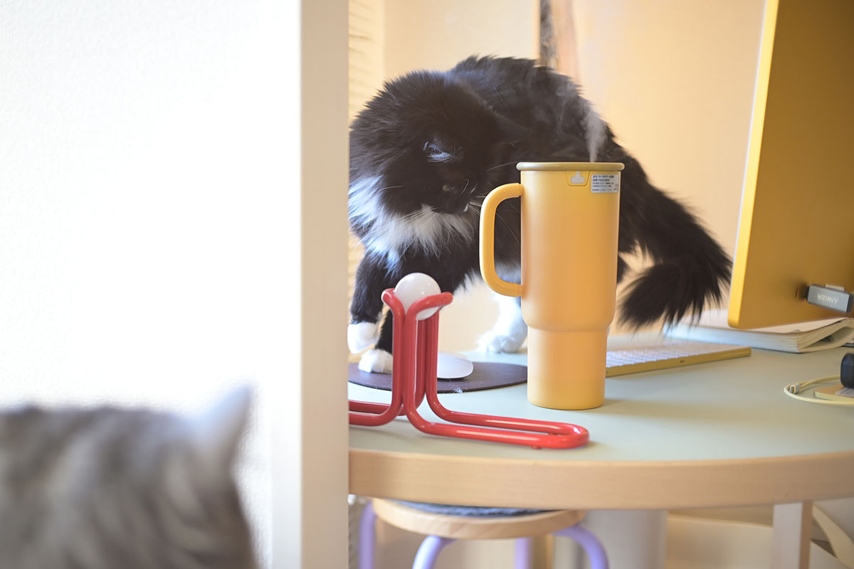 一難去ってまた一難……。でも、ドウシシャ「サーモカラー加湿器」なら、慌てず見守れるのが嬉しい。心の余裕を生む加湿器です