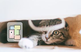 外出先からペットに話しかけられるビデオ通話や見守り機能なども搭載