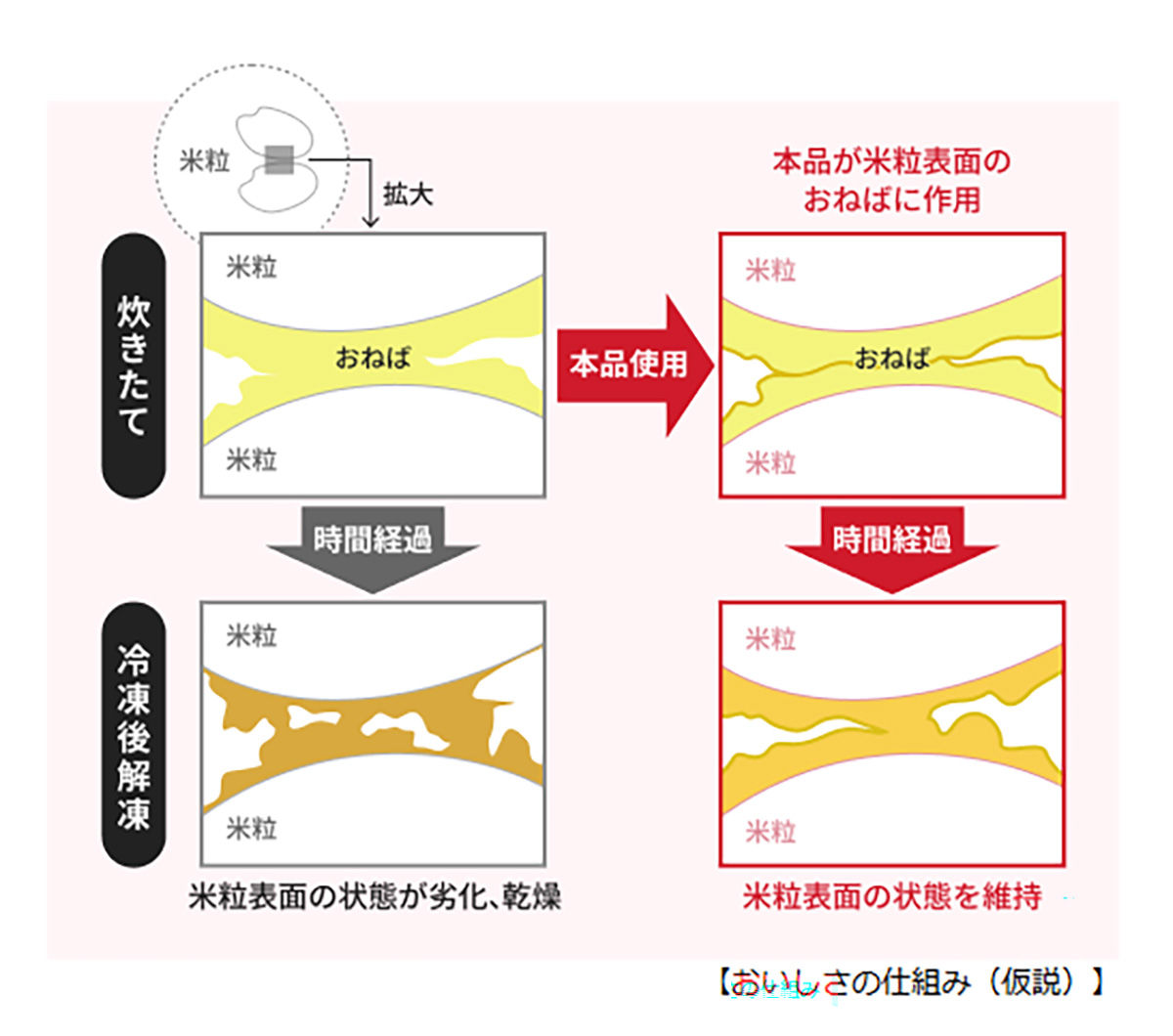 お米表面の「おねば」に作用します(画像：ミツカン)