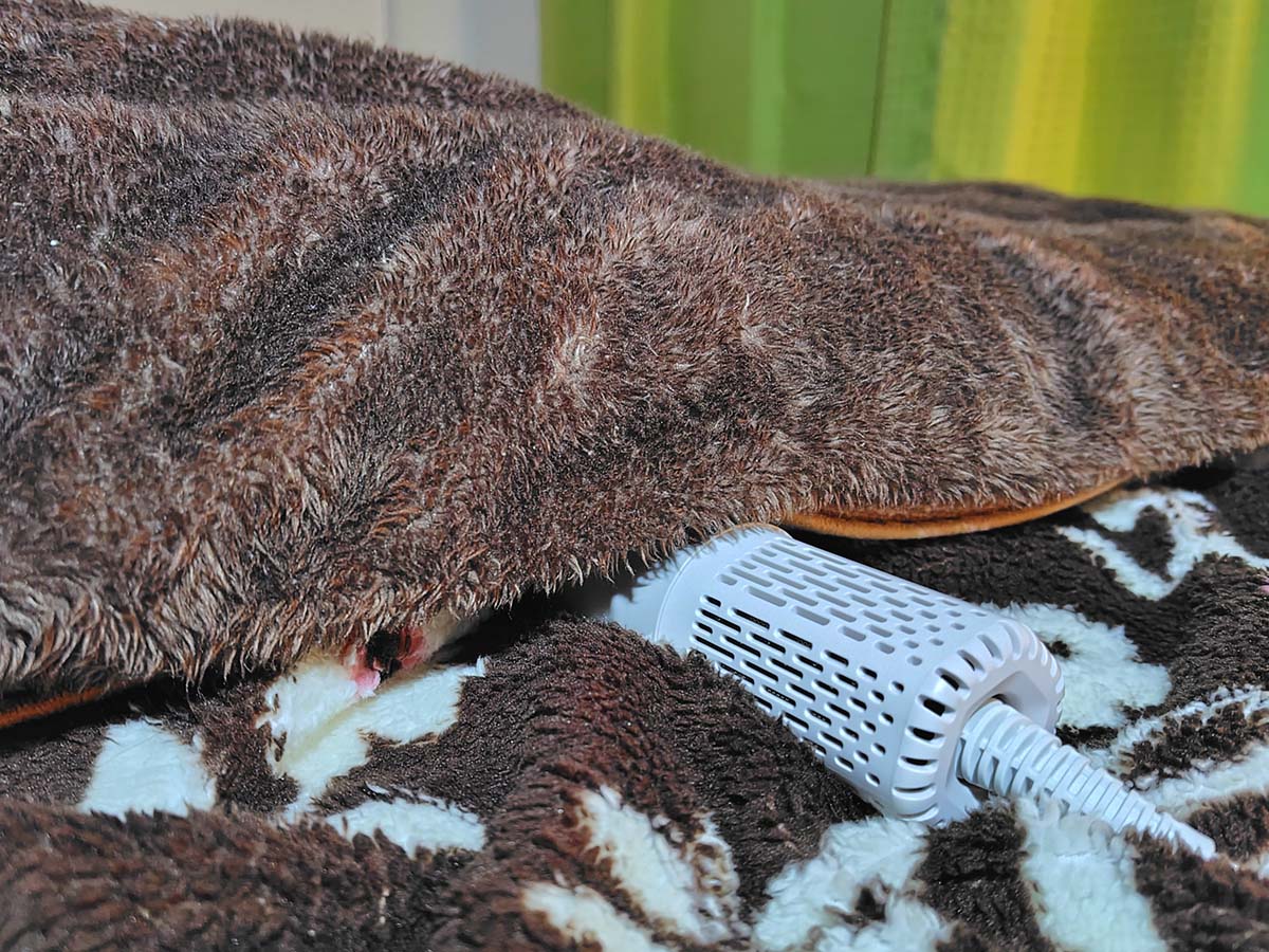 掛布団の重みが送風を妨げていないか確認